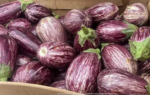 بادمجان خط دار محصولی ویژه و خاص